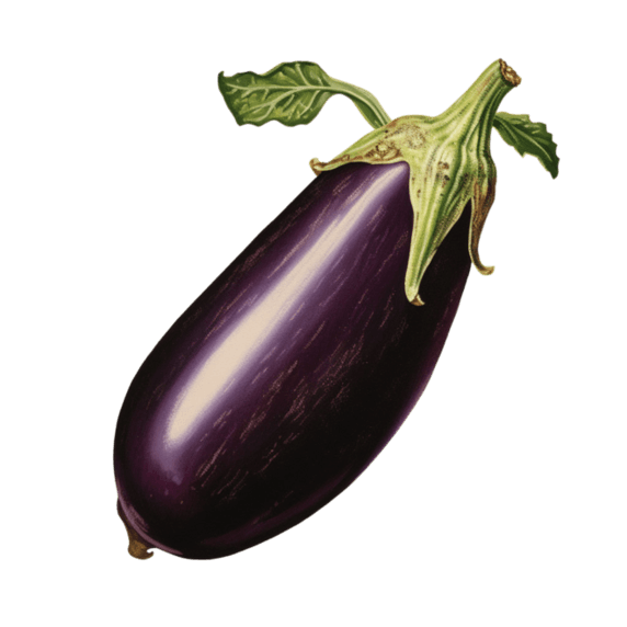 创意质感蔬菜农作物紫色茄子元素免抠图案