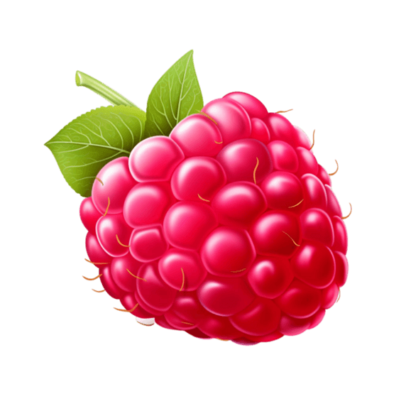 树莓粉色浆果水果果实元素免抠图案