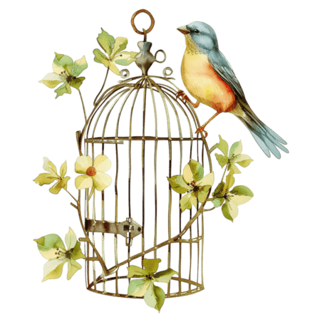 创意花草笼子小鸟手绘春天水彩鸟笼元素