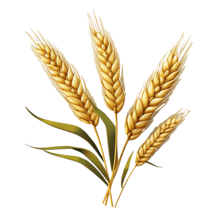 创意造型黄金麦穗元素小麦丰收农作物免抠图案