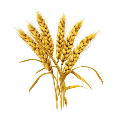创意小麦丰收农作物质感黄金麦穗元素免抠图案
