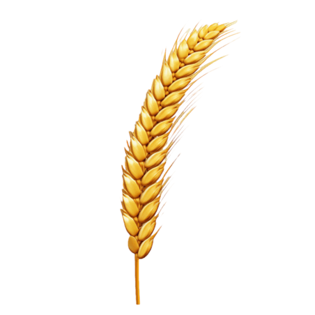 小麦丰收农作物创意ai黄金麦穗元素免抠图案
