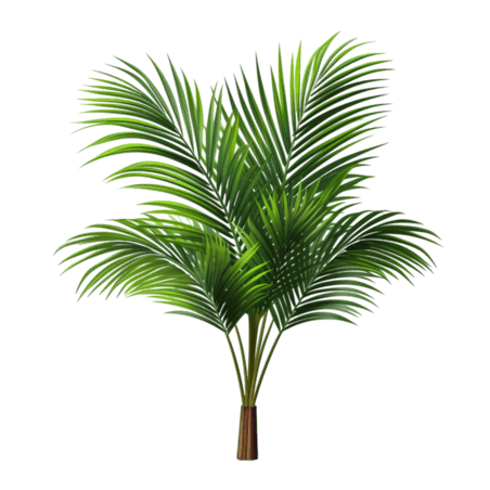 创意棕榈叶铁树写实绿色植物元素免抠图案