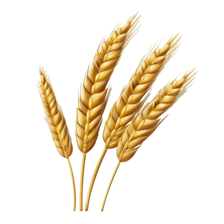 创意AICG黄金小麦丰收农作物麦穗元素免抠图案