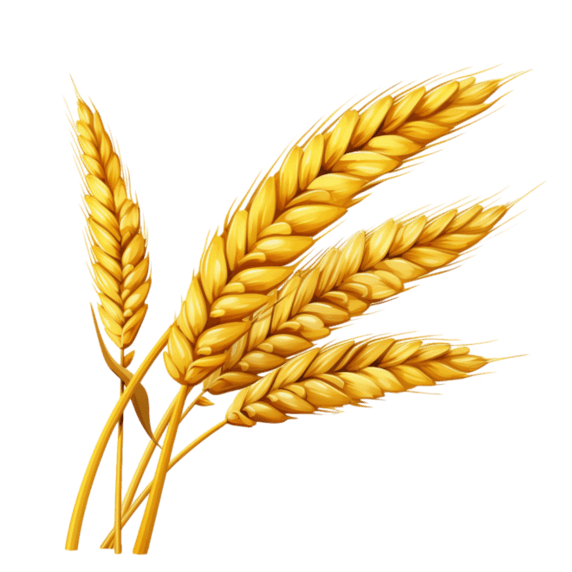 创意小麦丰收农作物装饰黄金麦穗元素免抠图案