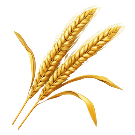 创意简约黄金麦穗元素免抠图案小麦丰收农作物
