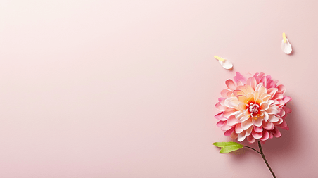 创意春天母亲节粉色节日鲜花背景摄影9