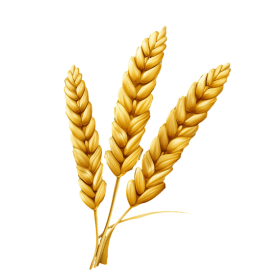创意绘画黄金麦穗小麦丰收农作物元素免抠图案