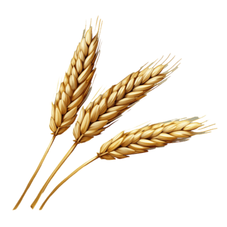 创意图形小麦丰收农作物黄金麦穗元素免抠图案