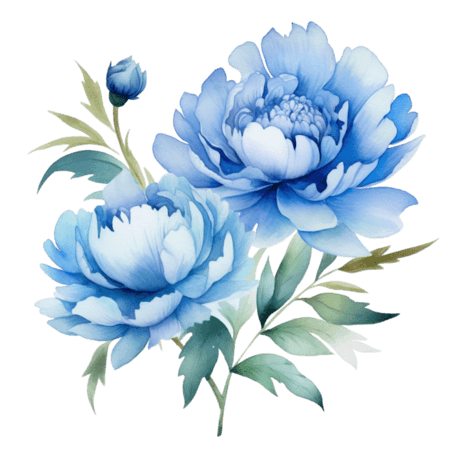 创意简单蓝色水彩植物牡丹芍药花朵元素免抠图案