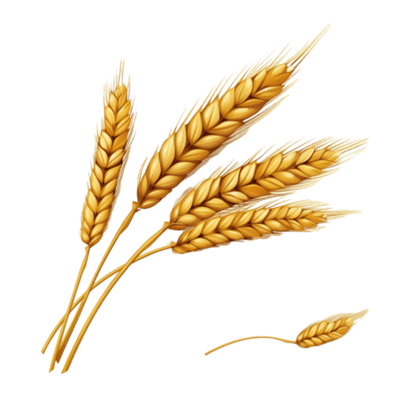 创意ai小麦丰收农作物绘画黄金麦穗元素免抠图案