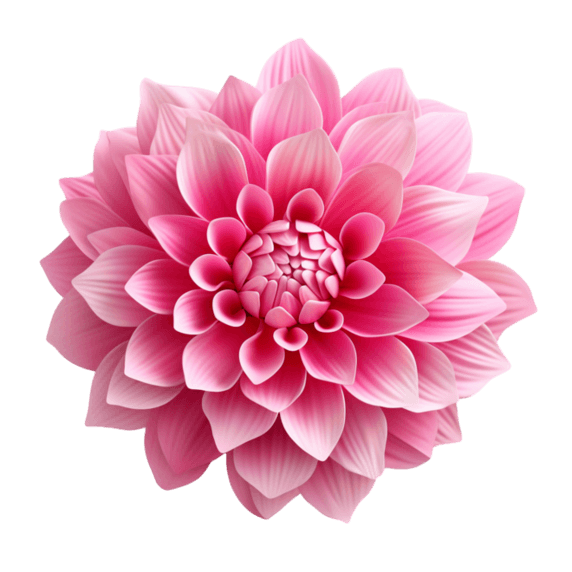 创意3d粉色植物花朵小花元素免抠图案