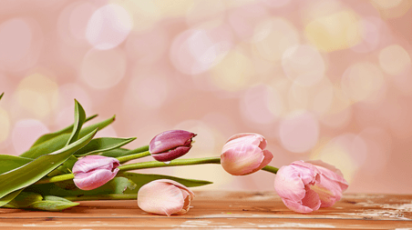 创意春天母亲节粉色鲜花郁金香主题背景16