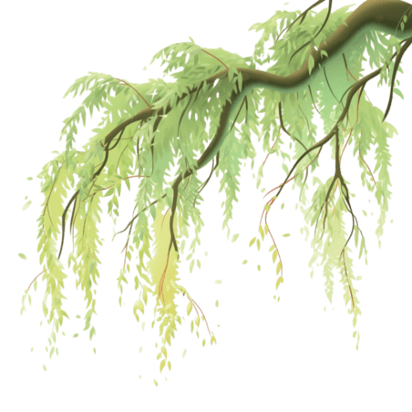 创意春天小清新柳树植物叶子装饰素材
