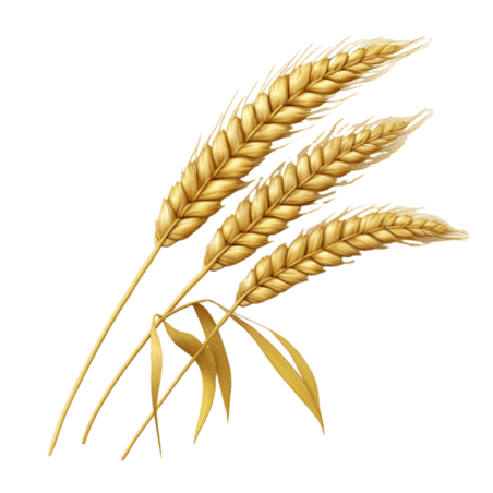 小麦丰收农作物创意简单黄金麦穗元素免抠图案