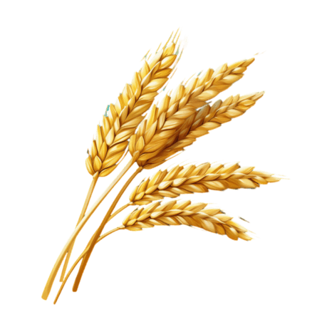 创意矢量黄金麦穗元素免抠小麦丰收农作物
