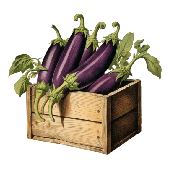 创意简约紫色茄子蔬菜农作物果实元素免抠图案