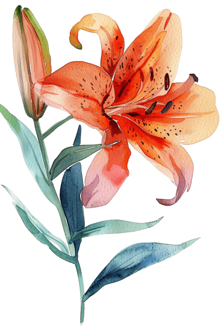 创意春天花朵百合免抠手绘水彩花卉植物元素
