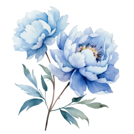 创意绘画水彩植物牡丹芍药蓝色花朵元素免抠图案