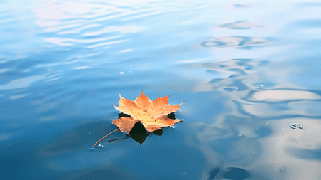 创意一叶知秋蓝色水面上的一片叶子大海水面水波海浪文艺背景