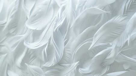 创意白色柔软简约底纹纹理羽毛装饰背景8