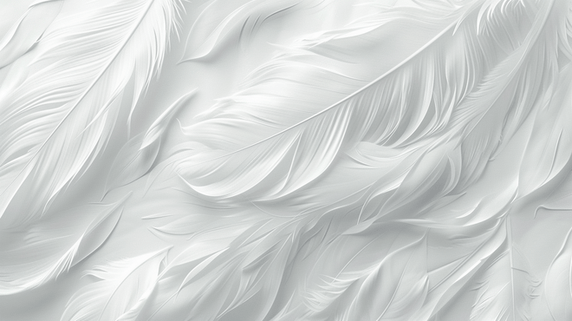 创意简约底纹纹理白色柔软羽毛装饰背景2