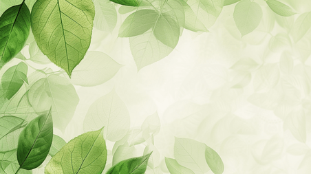 创意春天绿色平面树叶纹理背景图5