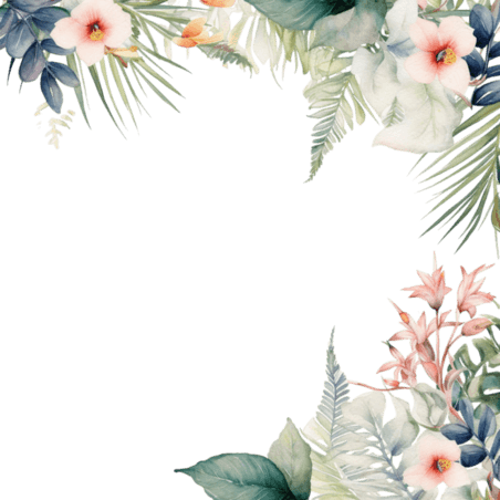 创意花朵画框元素水彩热带夏季夏天边框免抠图案