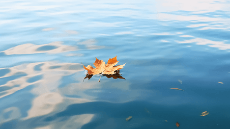 文艺海面水面水波一叶知秋蓝色水面上的一片叶子