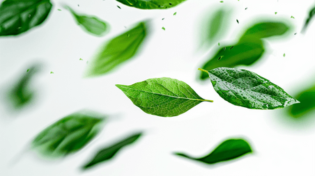 创意白色简约绿色树叶叶片飘落的背景10