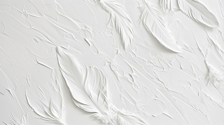 创意白色柔软羽毛装饰简约墙面油画背景4