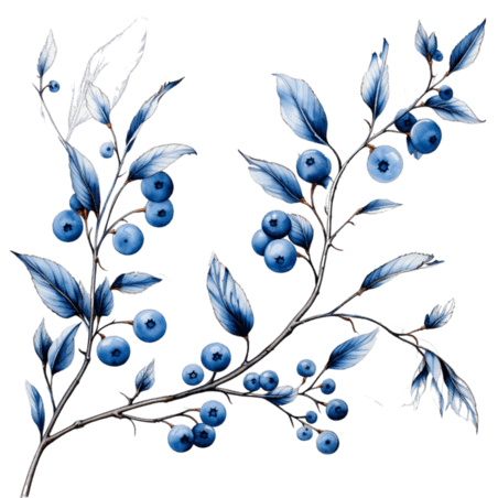 水彩水果蓝莓枝条元素免抠图案