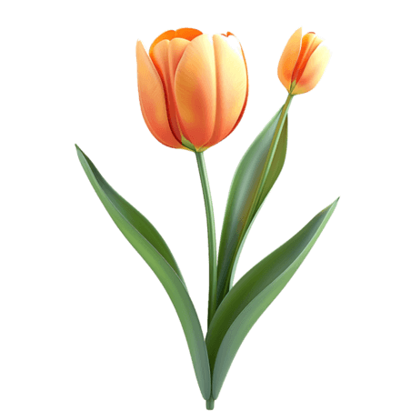 创意郁金香3d免抠元素花朵