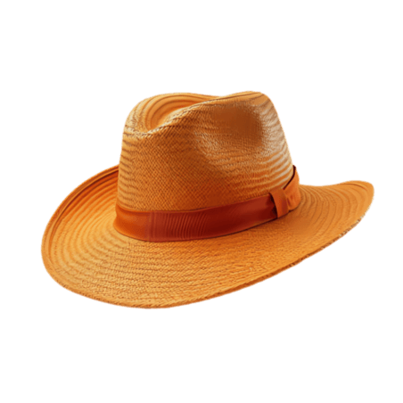 创意简约帽子夏天夏季防晒草帽元素免抠图案