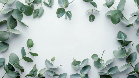 创意绿色植物立体描绘摄影照片