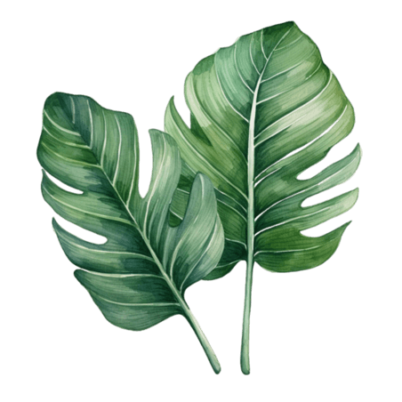 创意植物叶子夏季夏天热带植物绿色树叶元素免抠图案