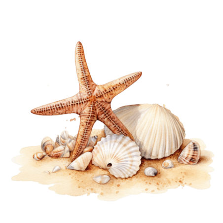 创意夏天水彩海星贝壳元素立体免抠图案