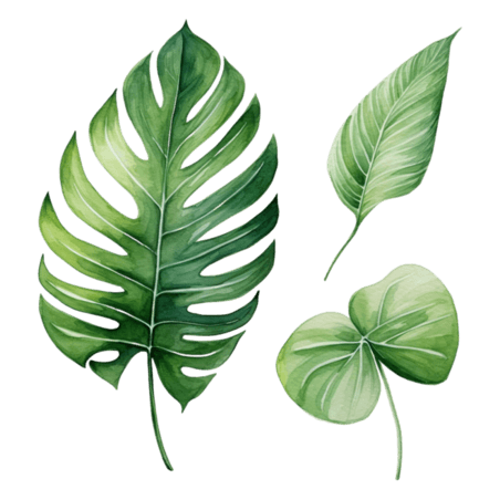 创意绿色树叶元素叶子夏季夏天热带植物免抠图案