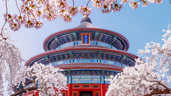 创意古建筑花朵春天樱花天坛北京地标风景