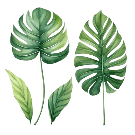 创意叶子夏季夏天热带植物绿色树叶元素免抠图案