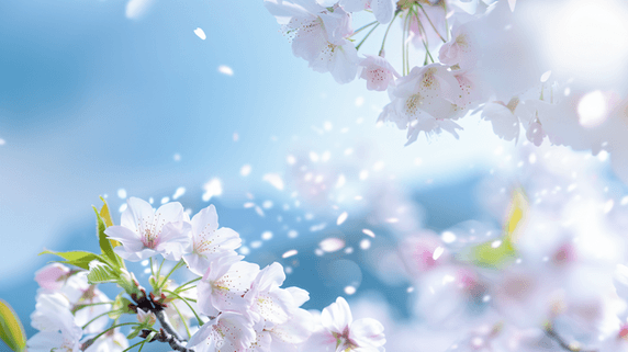 春天花朵植物背景创意盛开的美丽樱花摄影13