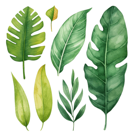 叶子夏季夏天热带植物创意绿色树叶元素免抠图案