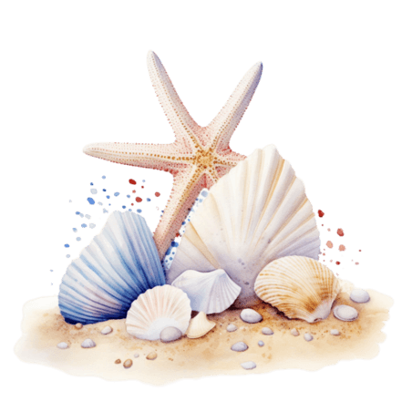 创意海星贝壳夏天水彩元素免抠图案
