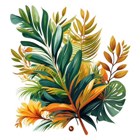 创意手绘热带植物元素插画夏天叶子