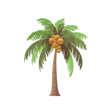 夏天植物卡通热带椰子树植物手绘