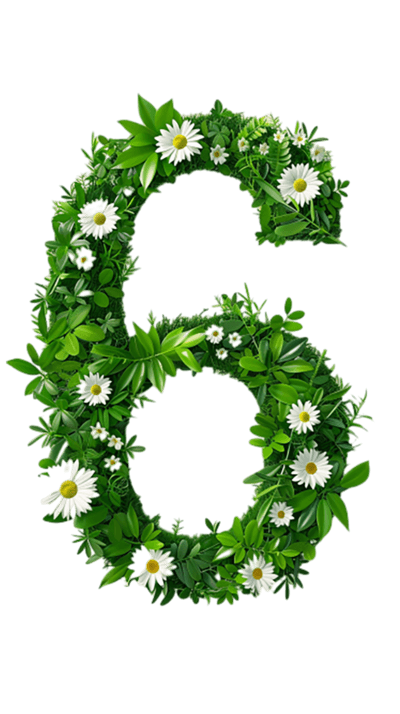 创意六一儿童节绿叶花朵数字6设计