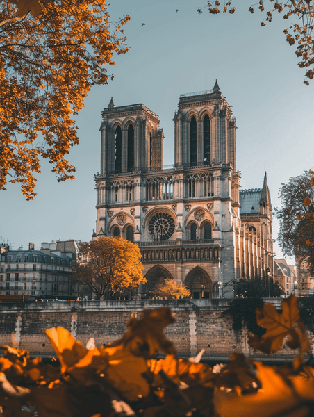 创意游客照片巴黎圣母院大教堂