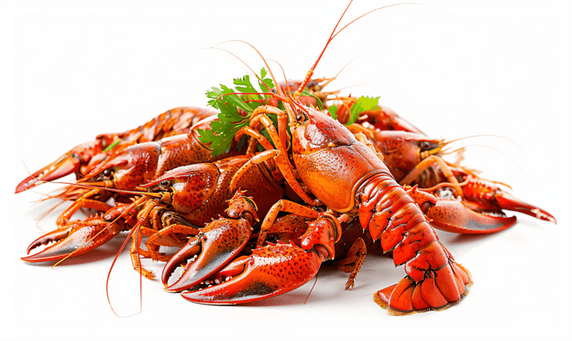 创意一堆煮熟的红河小龙虾餐饮美食生鲜
