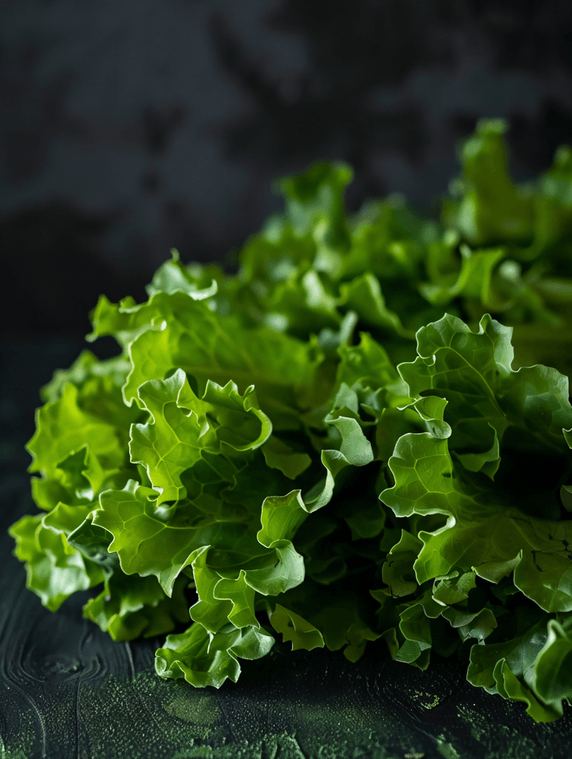 创意新鲜混合蔬菜沙拉的蔬菜生菜特写