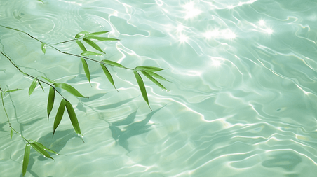 创意夏季清爽水光粼粼树枝树叶绿色的背景
